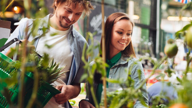 Retail Compliance Auditor for Retail